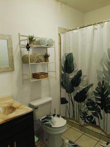 un bagno con un water e una tenda da doccia di loft rosy a Puerto Peñasco