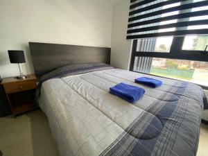Postel nebo postele na pokoji v ubytování Dpto costero vista al lago, piscina y jacuzzi + 20 fotografií