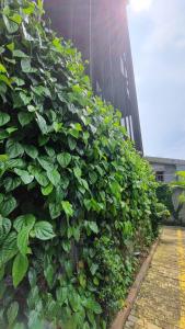 Guest House 555 NKIにある庭