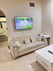 TV a/nebo společenská místnost v ubytování Apartment for rent 2BK in Ajman