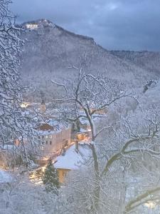 a snow covered tree in front of a mountain at The Bungalow in Braşov