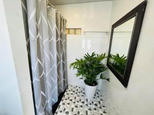 baño con espejo y maceta en Homestay TT House, en Chợ Phước Hải