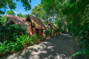una carretera que conduce a una casa con árboles en Suuko Villas, en Chalong 
