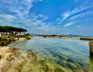 a body of water next to a sandy beach at Appartamento Estate in Limpiddu