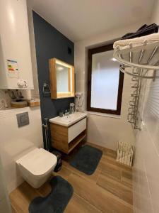 a bathroom with a toilet and a sink and a window at KOLO Котеджний комплекс in Tatariv