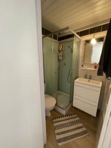 a bathroom with a shower and a toilet and a sink at Maison de vacance bord de mer in Le Barcarès