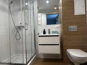 a bathroom with a shower and a toilet and a sink at Noclegi Witnica in Witnica +55 photos