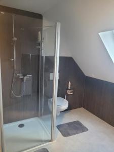 a bathroom with a shower and a toilet at Ferienwohnung Mühlbach in Igensdorf