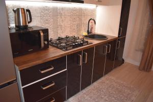 Afbeelding uit fotogalerij van Wald Central Residence in Rădăuţi +26 foto's