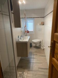 a bathroom with a sink and a toilet at Ferienhaus Günther in Hohen Pritz