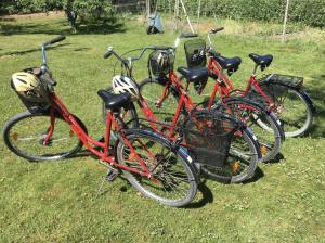 a group of bikes parked in the grass at Karlbergs Pensionat in Möja