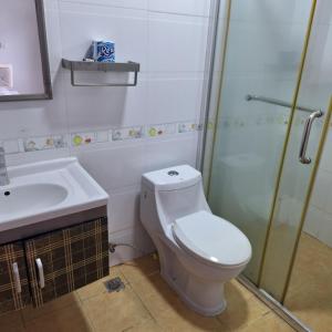 a bathroom with a toilet and a sink and a shower at Modest R&R H Appartment in Dar es Salaam