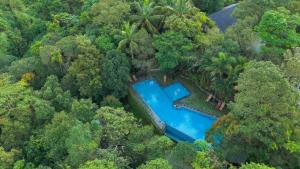 Bazén v ubytování Wayanad Silverwoods Forest Resort & Spa nebo v jeho okolí
