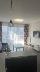 Televízia a/alebo spoločenská miestnosť v ubytovaní 1 Tyskie Apartamenty z ogródkiem