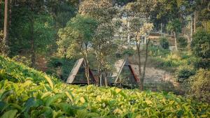 Aed väljaspool majutusasutust Forestscape Resort Munnar