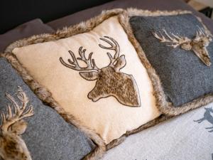 Gallery image of Tanjas Appartement in Kirchdorf in Tirol