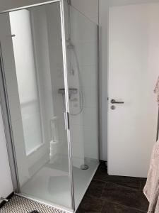 een douche met een glazen deur in een badkamer bij Hausboot Maritim Holiday in Großenbrode +21 foto's