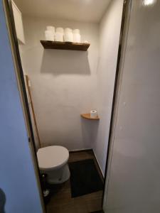 a small bathroom with a toilet and a shelf at Los Robles Avenue 2311 in Kaposvár