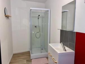 a bathroom with a shower and a sink at Le Big Road Rouge in Roubaix