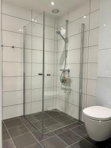 a bathroom with a shower and a toilet at Stylish & Central by the pier Cozy balcony in Arendal