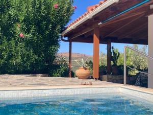 Bazén v ubytování Villa Batsheva Private and Detached nebo v jeho okolí + 21 fotografií