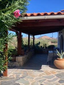 Příroda nedaleko vily