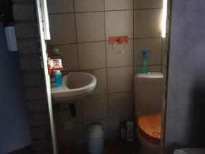 een kleine badkamer met een wastafel en een toilet bij Uitzicht Guest Farm in Kroonstad +20 foto's