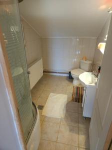 a bathroom with a shower and a toilet and a sink at Undeva la Mosie in Podu Dîmboviţei +22 photos