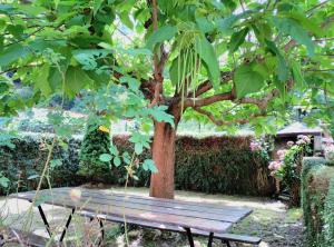 un banco de madera sentado junto a un árbol en Casa Les, en Les
