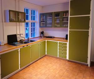 uma cozinha com armários verdes e uma pia em Gartnerboligen Fuglsang em Toreby