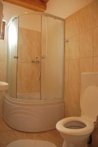 a bathroom with a shower and a toilet at Casa Mister in Sulina +67 photos