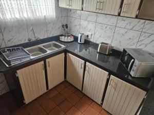 eine Küche mit Spüle und Mikrowelle in der Unterkunft Melville Guesthouse & Contractors Lodge in Lichtenburg