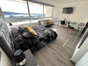 Gallery image of PVL b45 in Concepción