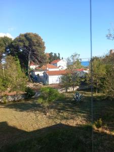 Naturlandskabet i nærheden af lejligheden