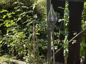 Aed väljaspool majutusasutust Ferienwohnung Wanderschön