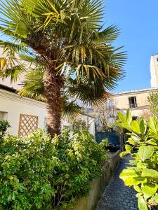una palmera delante de un edificio en Loft Orfila, en París 19 fotos más