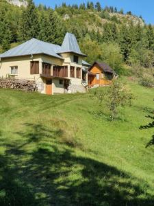 a large house on a grassy hill with trees at Undeva la Mosie in Podu Dîmboviţei