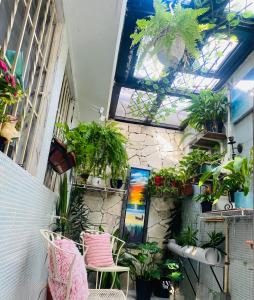 Κήπος έξω από το Jacqueline