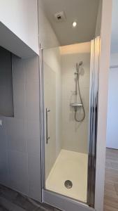 una ducha con puerta de cristal en un baño en Charme & Confort en Hyper Centre, en Metz