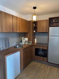 Dapur atau dapur kecil di Chez Claire à Isola 2000