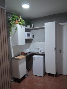 Dapur atau dapur kecil di Nueva 2