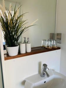 a bathroom with a sink and a plant on a shelf at North Greenwhich Homestay in London +19 photos