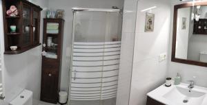 a bathroom with a shower and a sink at Pequeña habitación con vistas dentro de nuestra vivienda in Irún