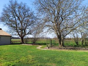 un cortile con due alberi e una recinzione di Le Petit Loup grande maison de charme en campagne a LʼOie