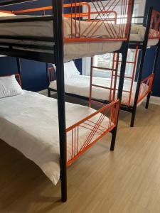 Rúm í herbergi á Astra Hostel