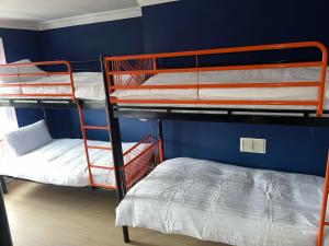 Rúm í herbergi á Astra Hostel