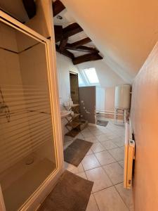 a bathroom with a shower and a toilet at Gites Chateau Saintonge in Le Chevain