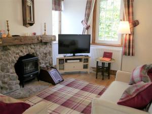 a living room with a fireplace and a television at Primrose Cottage in Rockcliffe