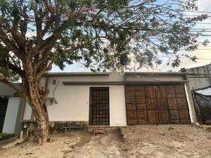 a house with a tree in front of it at Casa de campo con piscina, aire acondicionado, estacionamiento privado con BBQ in Barranquilla