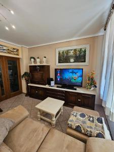 un soggiorno con divano e TV a schermo piatto di Casa Luciana - Comfort a Lucca con Parcheggio a Lucca